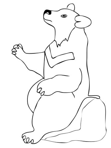 Asian Black Bear Coloring Page